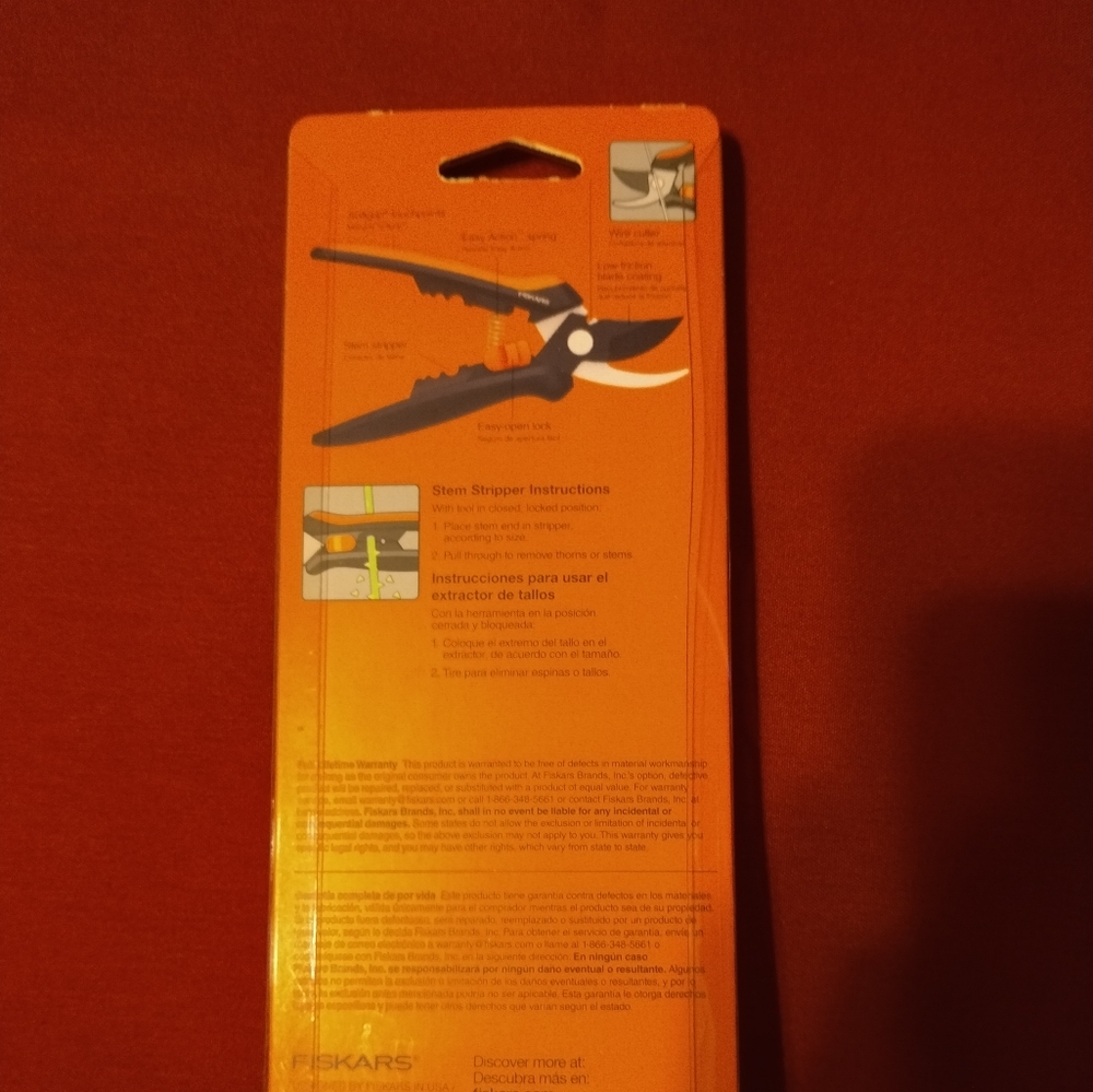 Cesar - Picture 3 of 3